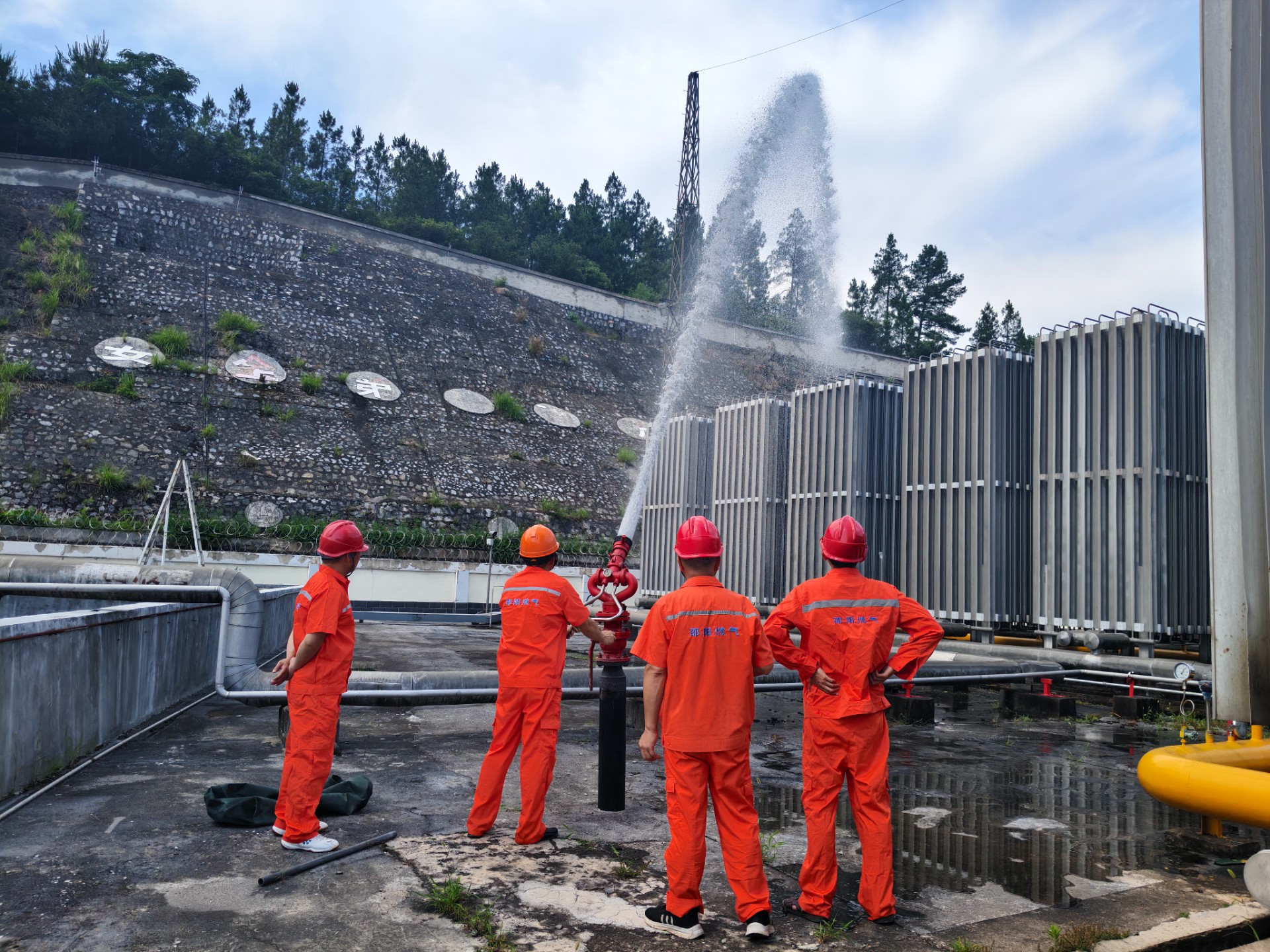 1751333411331721.jpg 1751333411331721.jpg